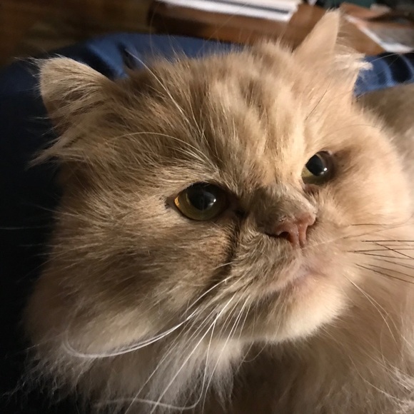 Meet your Posher, Louise - Picture 10 of 10